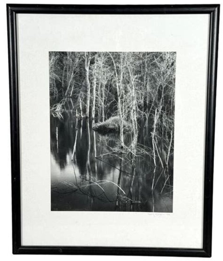 Christian ZucconiGrouplove Photograph by Gary Peterson Fine Art America