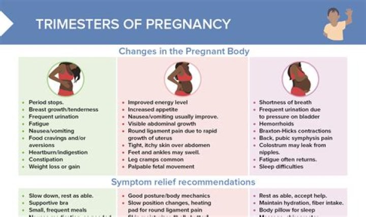 Clara Chia: The Anticipated News Of Pregnancy