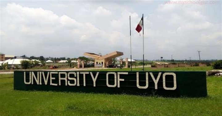 Complete Guide: How To Check Your Results On The University Of Uyo Portal