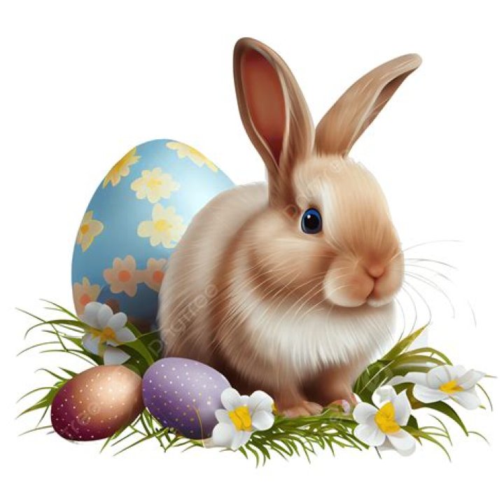 Cute Easter Bunny With Spring Flowers And Eggs, Easter Bunny, Easter