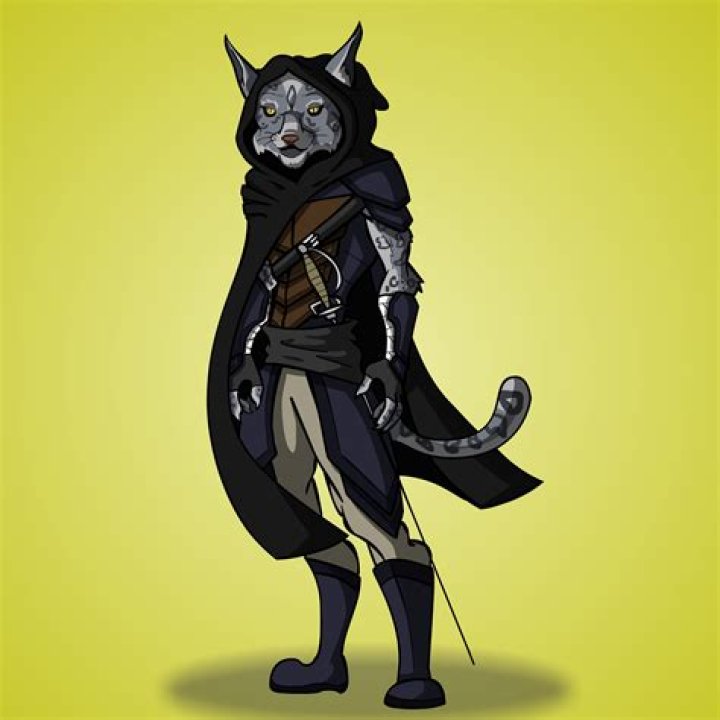 D&D character tabaxi rogue by TheIYouMe on Newgrounds