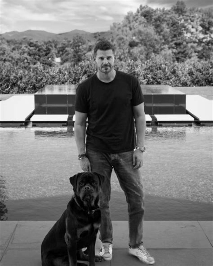 David Boreanaz on Instagram &ldquo;This kid jadenrboreanaz at the prom