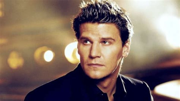David Boreanaz Will There Ever Be An Angel And Buffy Reunion?