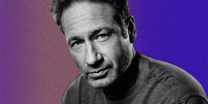 David Duchovny Is Just Getting Started
