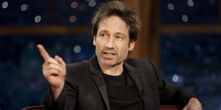 David Duchovny Net Worth Net Worth Lists
