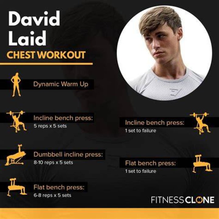 David Laid Profile Workouts and Diet Fitness Volt