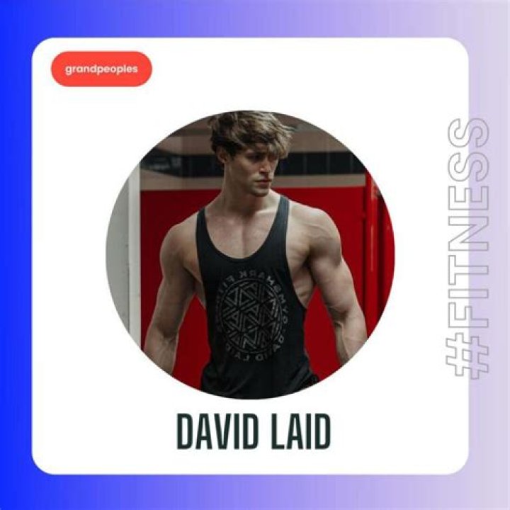 David Laid Wikipedia, Age, Career, Biography, Girlfriend, Net Worth