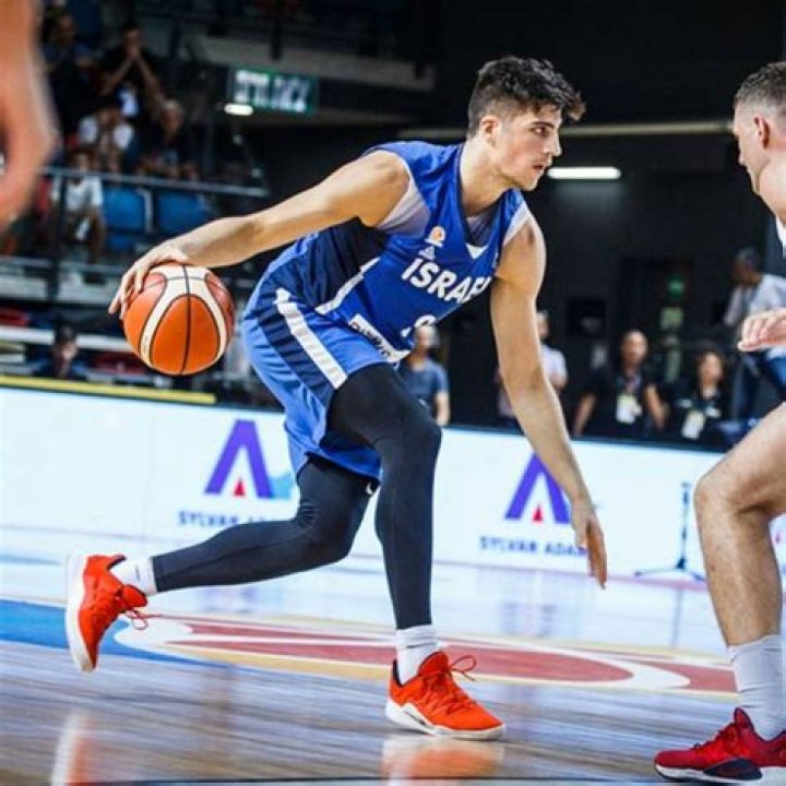 Deni Avdija, Basketball player Proballers