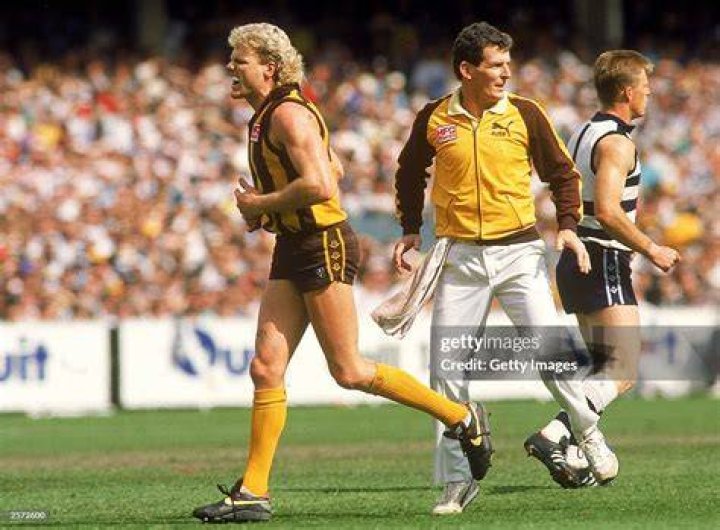 Dermott Brereton of the Hawks in action during the 1989 AFL Grand
