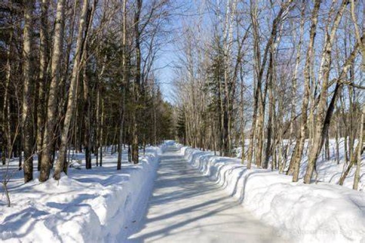 Discover Quebec's Enchanting Ice Skating Forest