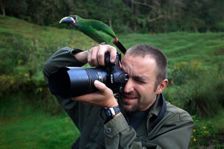 Discover The Astonishing World Of Clifford Beaver: A Masterclass In Wildlife Photography