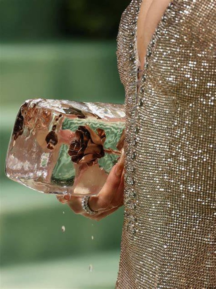 Discover The Sparkling Charm Of Camila Cabello's Ice Purse