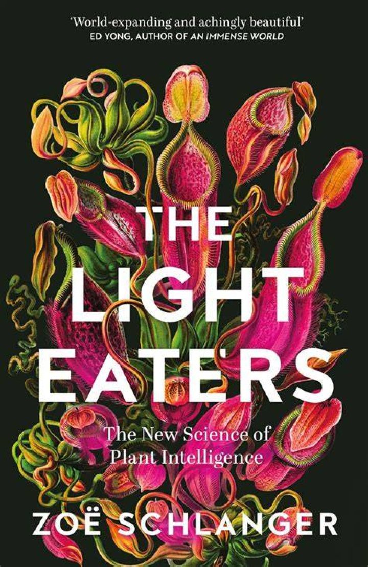 Discover The Unseen World Of Shamicka Gibbs: Uncovering Secrets And Insights