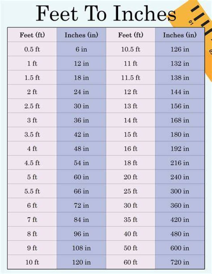 Discovering Allison Height In Feet: A Comprehensive Insight