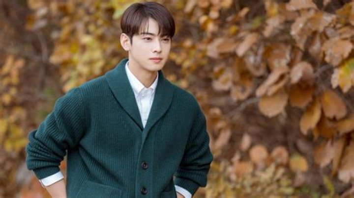 Discovering Cha Eun-Woo Movies: A Journey Through His Cinematic Achievements