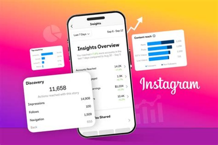 Discovering Lenathe Plug On Twitter: Insights And Influence