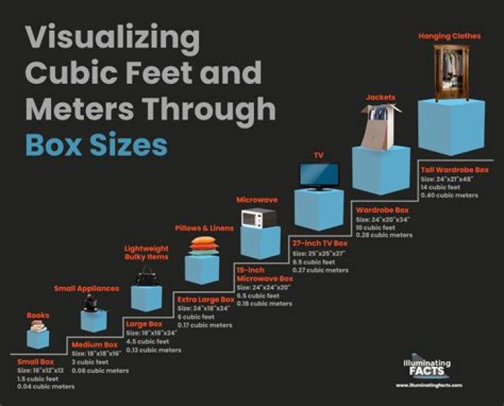 Discovering Neve Campbell's Height In Feet: A Closer Look