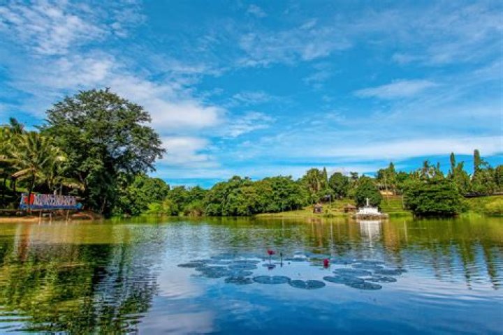 Discovering The Charm Of Ov-Ho: A Unique Cultural Phenomenon
