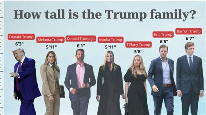 Discovering The Height Of Eric Trump