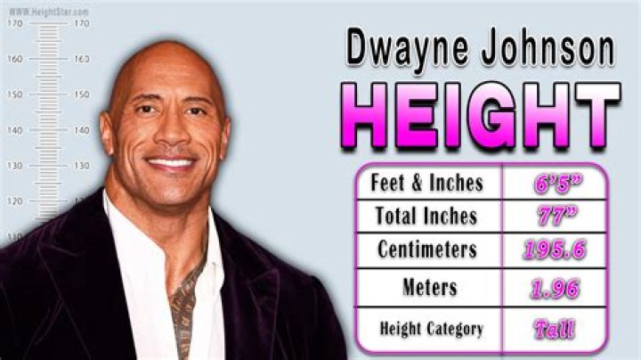 Discovering The Height Of Ryan's World: How Tall Is He?
