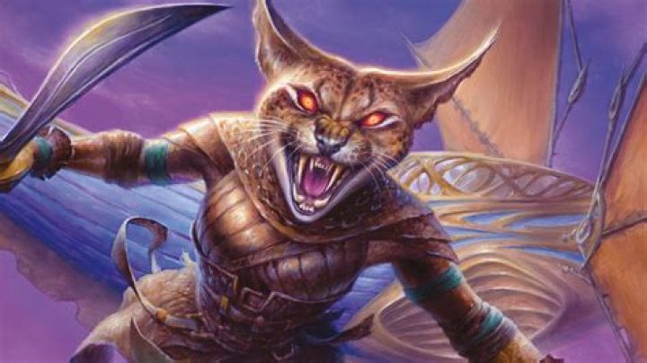 DnD Tabaxi 5e guide