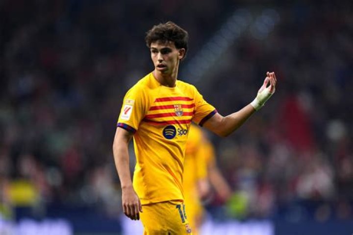 Does Joao Felix Have A Sister? Meet His Brother Hugo Felix