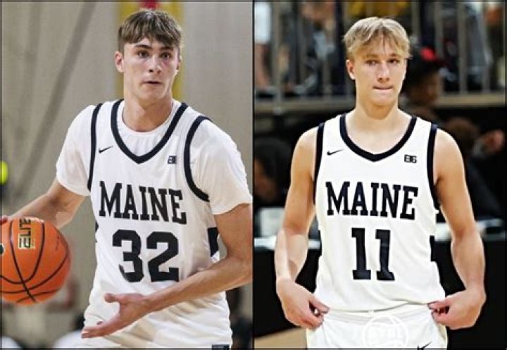 Does Merrick Hanna Have A Twin Brother Or Sister?