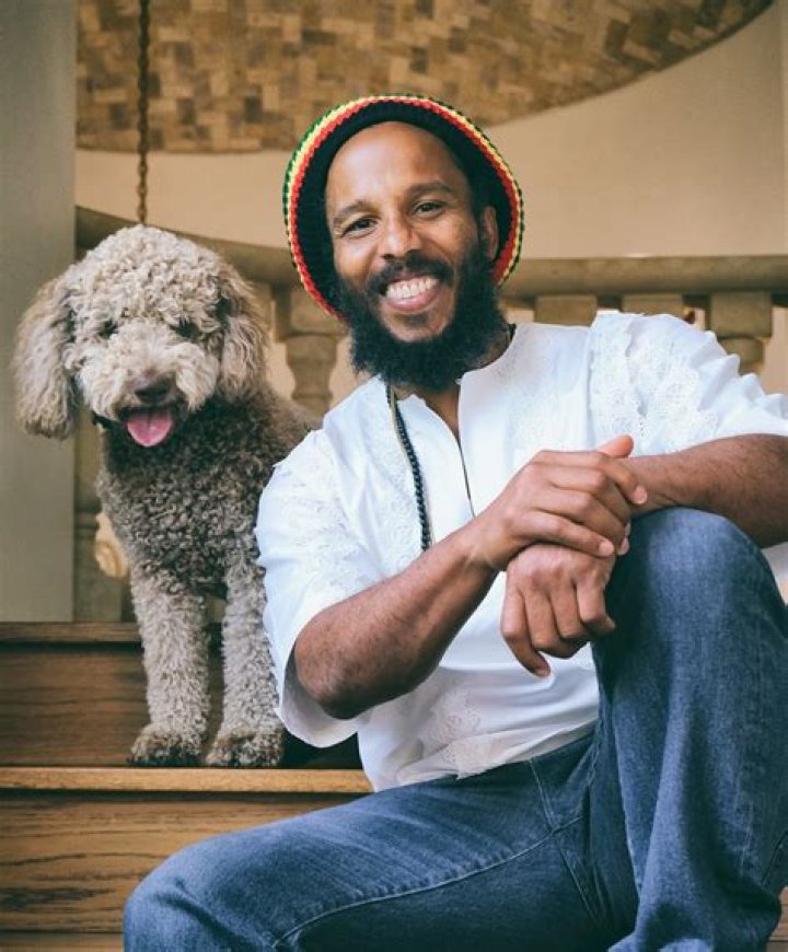 Dog Dad Ziggy Marley on Responsible Pet Products Pet Age