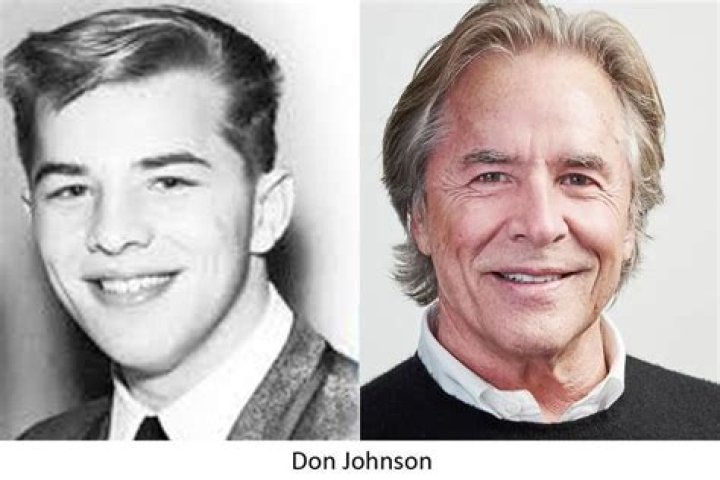 Don Johnson Age, Bio, Birthday, Family, Net Worth National Today