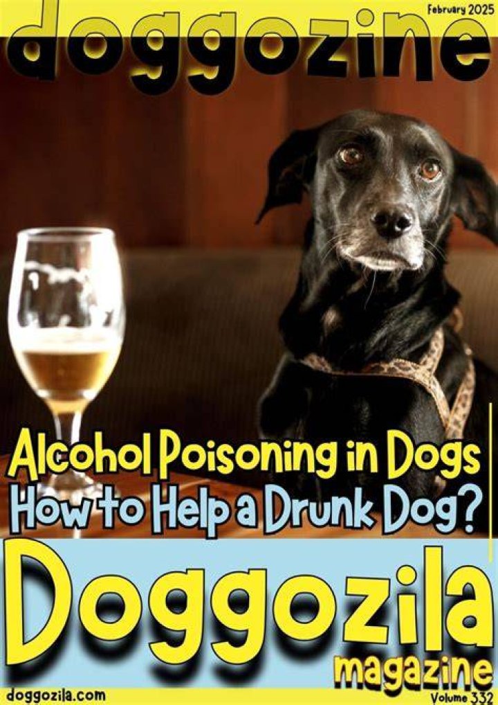 Drunk doggo Dogs Know Your Meme