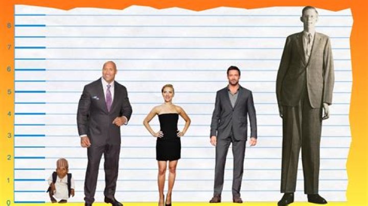 Dwayne Johnson Height Comparison