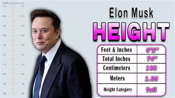 Elon Musk Height Weight Biography Age And NetWorth