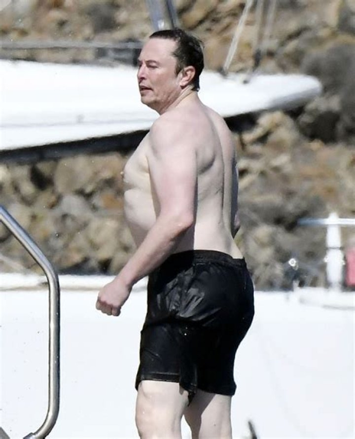 Elon musk shirtless pic from greece gone viral time.news Time News