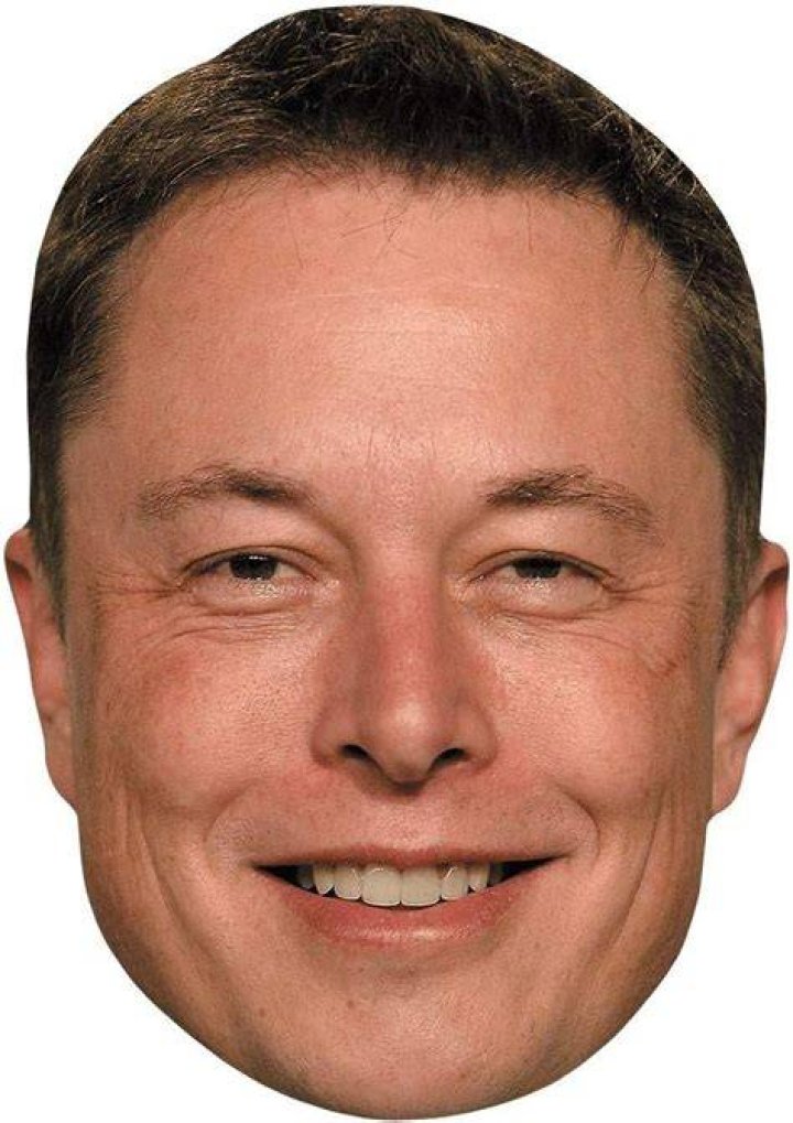 Elon Musk (Smile) Celebrity Mask Celebrity Cutouts