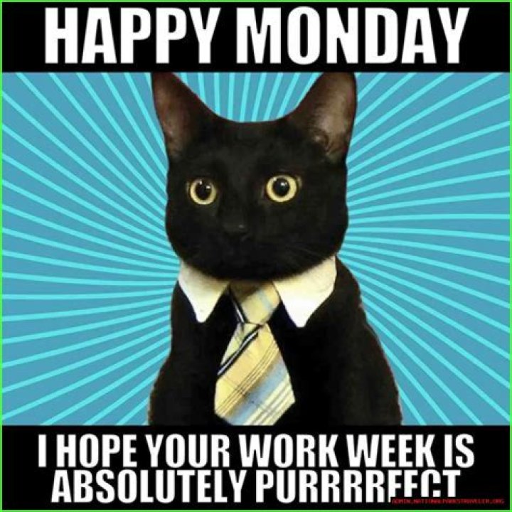 Embracing The Monday Meme For Work: A Fun Twist To Start Your Week