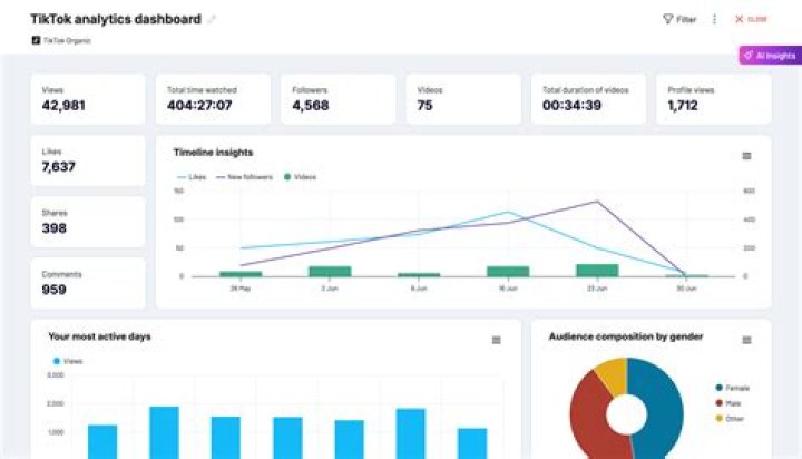 Erinspaige erinspaige TikTok Analytics Profile, videos & hashtags