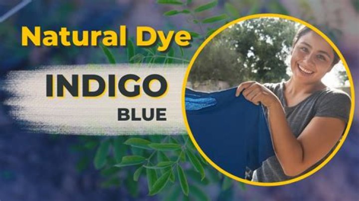Essential Guide To Indigo Wilder: Unlocking The Secrets Of Natural Dyeing