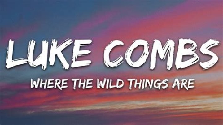 Exploring Luke Combs: Where The Wild Things Are True