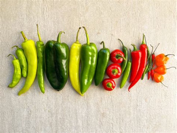 Exploring The Age Gap Dynamics Within The Red Hot Chili Peppers