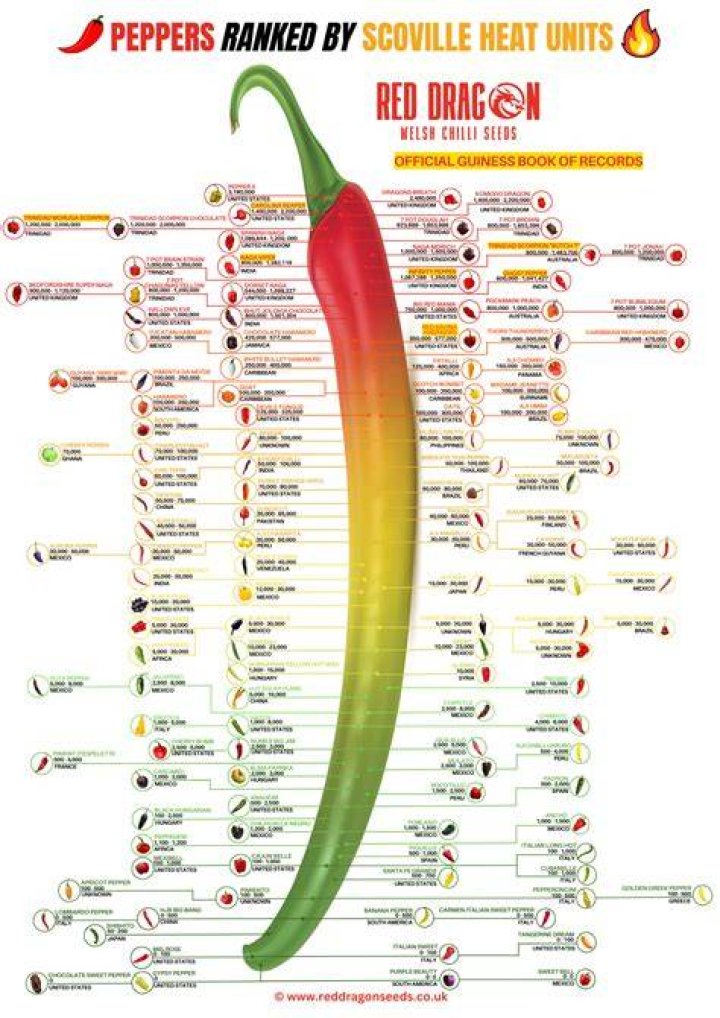 Exploring The Ages Of Chilli And T-Boz: How Old Are They?