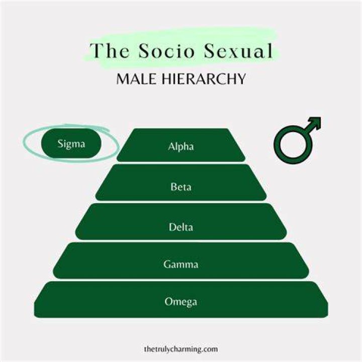 Exploring The Concept Of Sigma Male: A Unique Archetype In Modern Masculinity