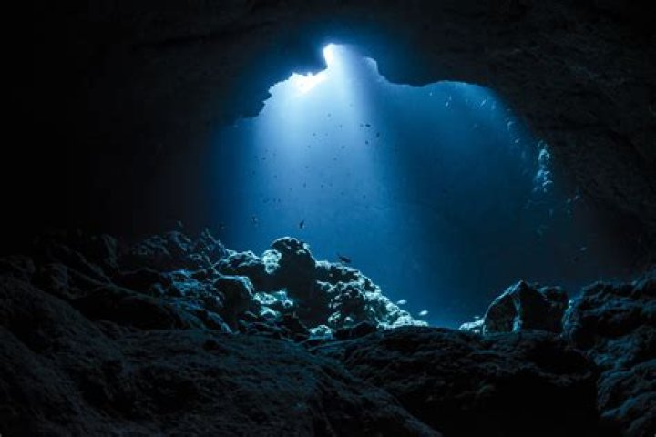 Exploring The Depths Of Future's 
