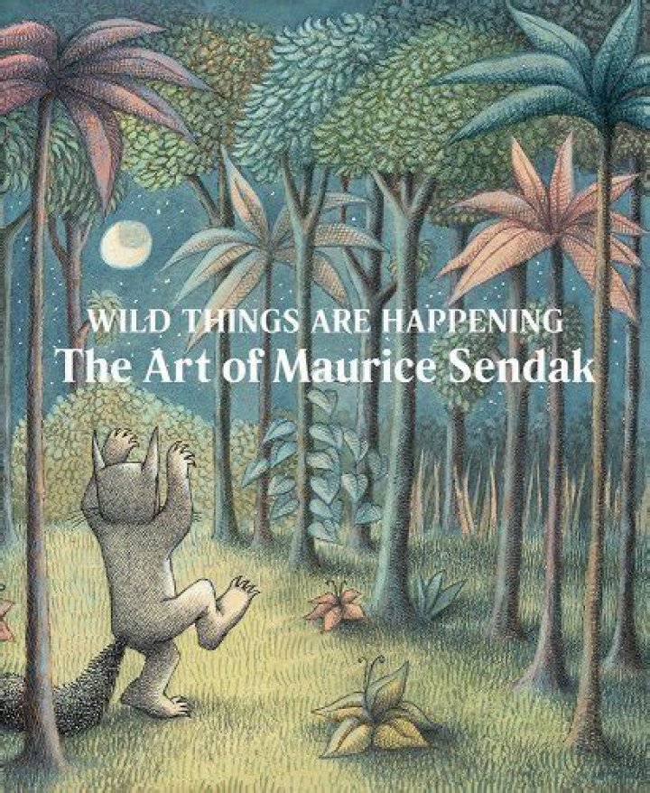 Exploring The Depths Of Imagination: The Wild Things Are Book