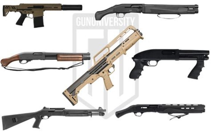 Exploring The Diverse World Of Shotgun Types