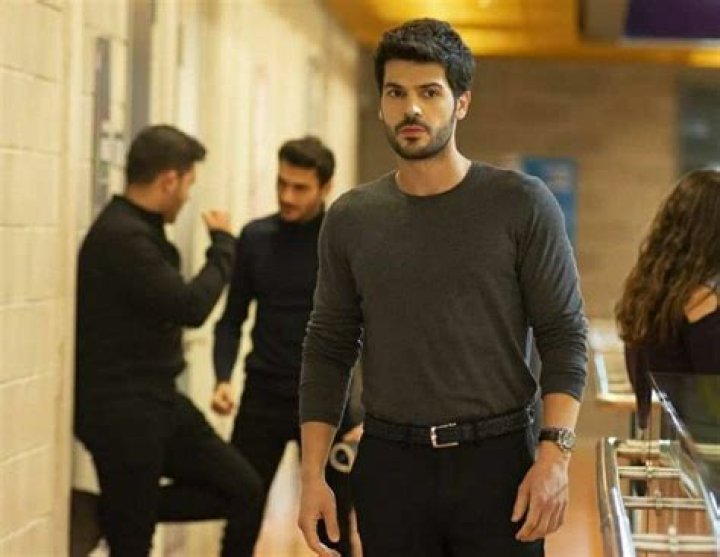 Exploring The Dynamic Roles Of Tolga Mendi In TV Shows