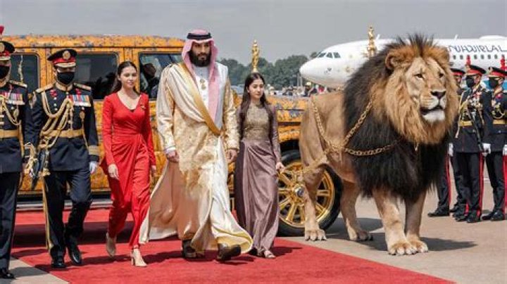 Exploring The Enigmatic Wedding Of Mohammed Bin Salman And His Wife