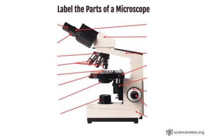 Exploring The Essentials: Parts Of A Microscope Labeling