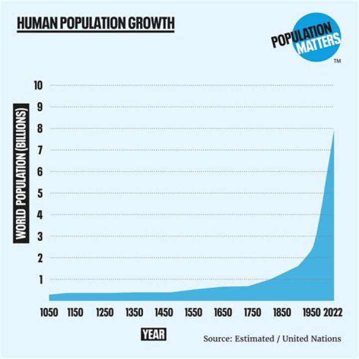 Exploring The Global Male Population: How Many Males Are In The World?