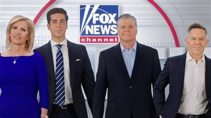 Exploring The Journey Of Shannon Fox News: A Dynamic Media Presence