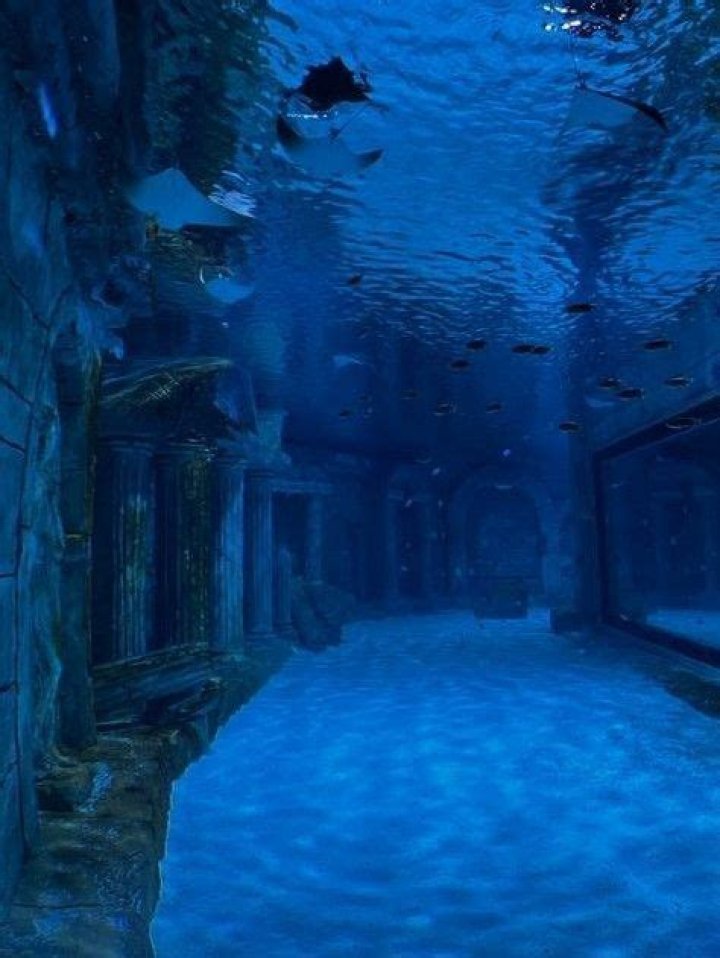Exploring The Mysteries Of The Underwater World